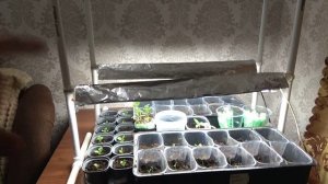 Самодельная подсветка для рассады. как сделать лампу из труб ПВХ.