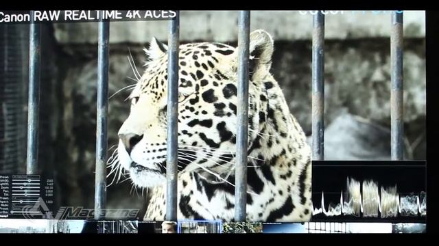 NAB Show 2012 - Day 1 - Canon Cinema EOS 4K смотреть онлайн