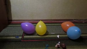 Лопаем шарики.burst the balls. balloons.Тайная жизнь домашних животних. Toys