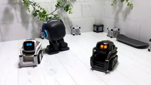 Робот Emo, Vector и Cozmo собрали 1000 подписчиков! Спасибо