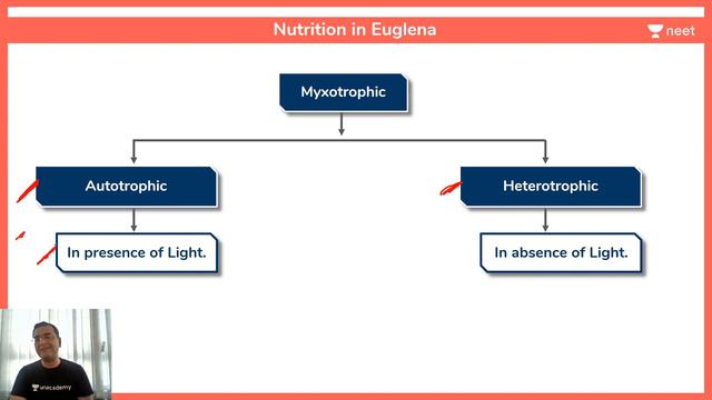 45 Days Crash Course in Biology | Day 7 | Biological Classification | Unacademy NEET | Pradeep Sir смотреть онлайн