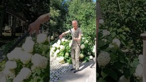 VID_20220811_112617(0).mp4