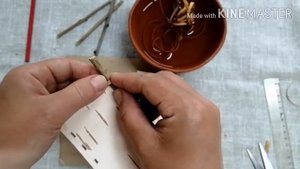 Мастер класс "Картинка на бересте в рамке"