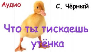 Что ты тискаешь утёнка? С. Чёрный