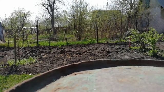 Дача-пашем) смотреть онлайн