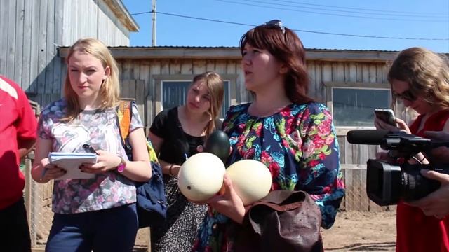 Про страусиные яйца смотреть онлайн