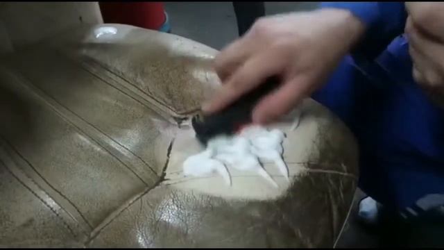 Химчистка авто белая кожа спб смотреть онлайн