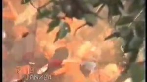 Full Moon/New Year Party Goa 94 part 2 (trance heaven)