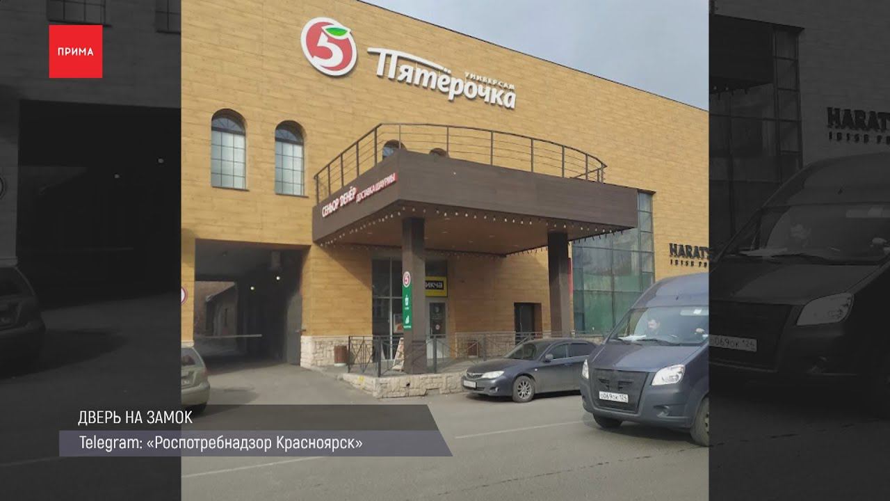 «Пятерочку» в центре Красноярска закрыли из-за крыс