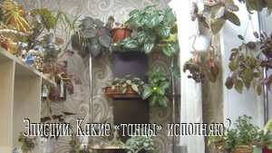 Мои эписции на "вольных хлебах". Обрезка. Обзор.