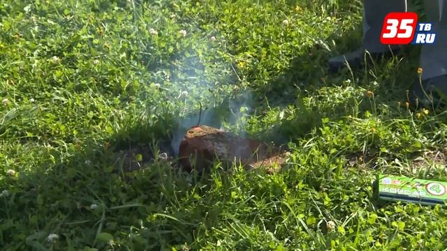 Борьба с кротами на дачном участке смотреть онлайн