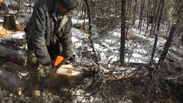 Заготовка дров на зиму смотреть онлайн