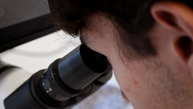 Лаборатория материаловедения и исследования образцов