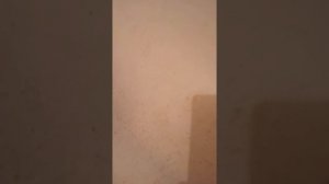 Подготовка поверхности ванны «коралловым» диском.