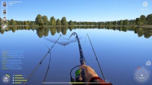 Карп призрак, старвас, чешуйчатый, рамчатый и зеркальный. Озеро янтарное. Русская рыбалка 4.