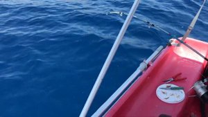 Рыбалка в Греции  на рыбу - кролик  Fishing in Greece. Fish Fugue