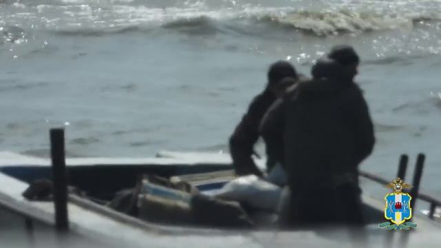 В Ростовской области полицейские задержали трёх браконьеров, ловивших судака ставным неводом