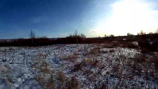 Охота на зайца. Косые натоптали знатно. Свежий снег. смотреть онлайн