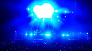 Звери Воронеж 22 01 2019 Капканы