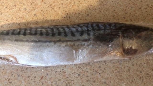 Скумбрия малосольная "Гости на пороге!"СПЕЦПОСОЛ! Просто и очень вкусно!!! смотреть онлайн