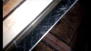 Шабровка ласточкиного хвоста,сторона #1