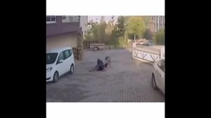 Бультерьер растерзал ребёнка и женщину! ШОК!!!