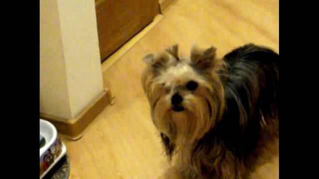 Крошка любит виноград! смотреть онлайн