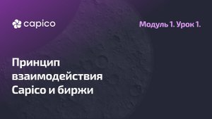 Принцип взаимодействия платформы Capico и биржи