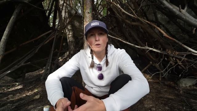 QUALITY vs QUANTITY - Van Life in Norway is (probably) OVER! смотреть онлайн