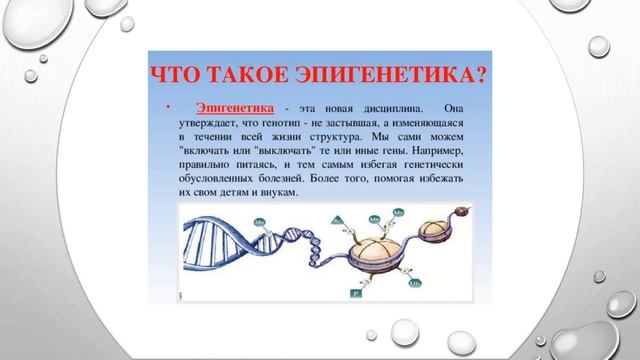 Питание пожилых (5 часть)