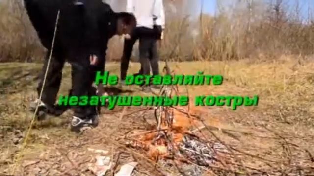 Берегите природу от пожаров смотреть онлайн