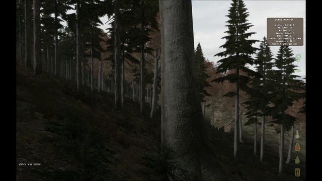Filmic Lighting In DayZ 1.7.1.1 - Test #3 смотреть онлайн