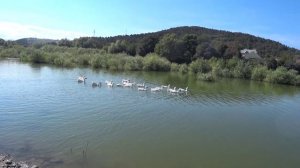 Симферопольское водохранилище,  РЫБАЛКА что здесь ловиться, рыбалка в Крыму 2022