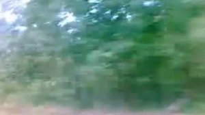 я еду на автобусе