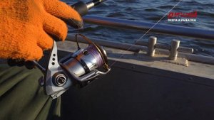 Судак. Солёное Займище. Рыболовный гид.