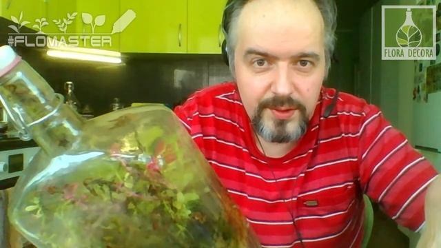 #FLOMASTER 16 Стрим: Мои сады в бутылках и про РОЗЫГРЫШ