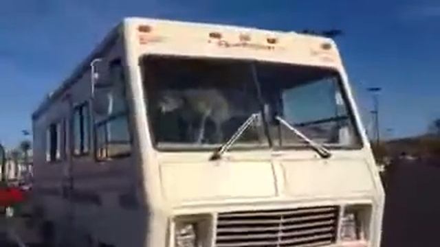 Собака накакала в машине пока хозяина не было дома смотреть онлайн