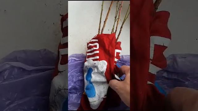 Антон Колесников (Казань)- посылка от племянницы Железова.