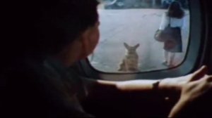 Андрей Васильев Баллада о рыжем псе.mpg