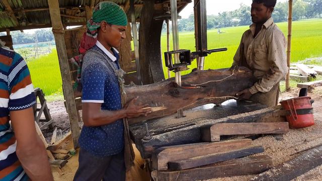 Yellow Jack Fruit Wood Cutting at Bend Sawmill।Crooked Jack Fruit Wood Cutting for Furniture смотреть онлайн