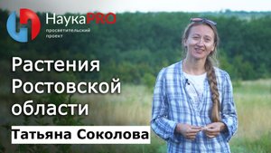 Растения Ростовской области – ботаник Татьяна Соколова | Научпоп