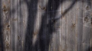 Копеечный универсальный объектив на полный кадр Canon