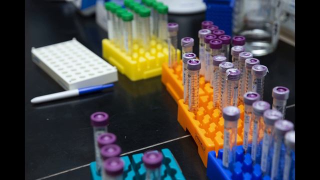 Фиброзы, опасные образования в органах, нарингенин смотреть онлайн