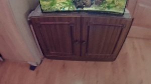 Внешний фильтр Atman df 700