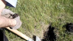 Первый год копа черного металла