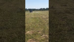 Обрабатываем почву от сорняков