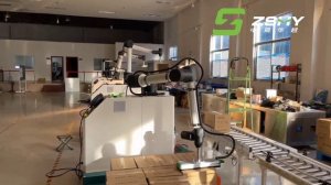 Cobot palletizer 20kg payload for carton box and bags stacking