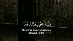 Сура Аль-Бакара аят-102 Чтец🔊Барахоев Иса