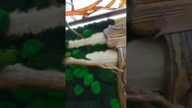 Фитостена из стабилизированного мха в частном доме