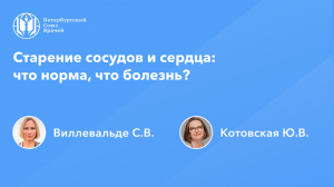 Старение сосудов и сердца: что норма, что болезнь?